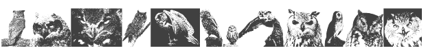 A Parliament of Owls 3 Font preview