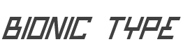 Bionic Type Italic style