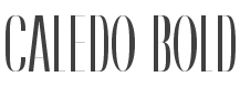 Caledo Bold Font preview