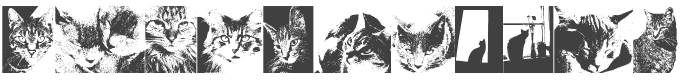 CatBats Font preview