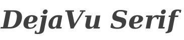 DejaVu Serif Bold Italic style