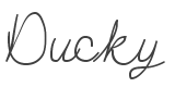 Ducky Font preview