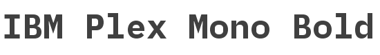 IBM Plex Mono Bold style