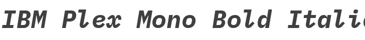 IBM Plex Mono Bold Italic style