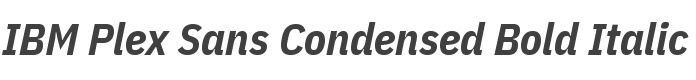 IBM Plex Sans Condensed Bold Italic style