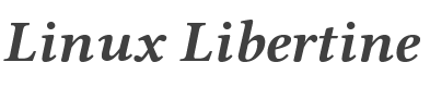 Linux Libertine Bold Italic style