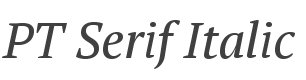 PT Serif Italic style