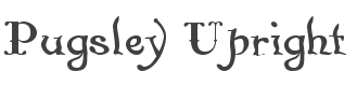 Pugsley Upright Font preview