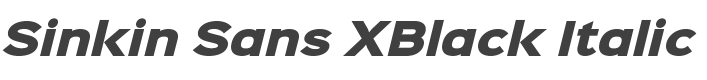 Sinkin Sans XBlack Italic style