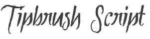 Tipbrush Script Font preview