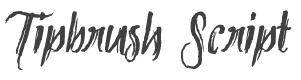 Tipbrush Script 2 style