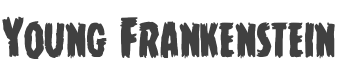 Young Frankenstein Font preview