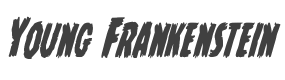 Young Frankenstein Condensed Italic style