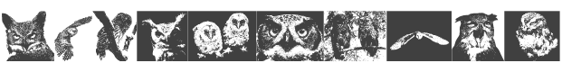 A Parliament of Owls Font preview