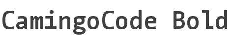 CamingoCode Bold style