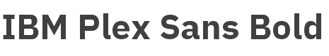 IBM Plex Sans Bold style