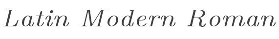 Latin Modern Roman 7 Italic style