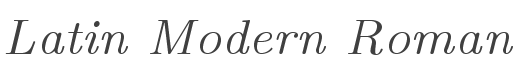 Latin Modern Roman 8 Italic style