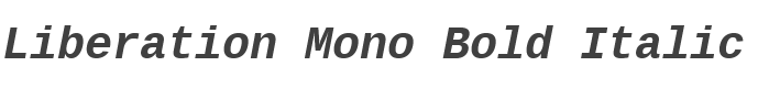 Liberation Mono Bold Italic style