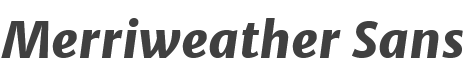 Merriweather Sans ExtraBold Italic style