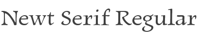 Newt Serif Font preview