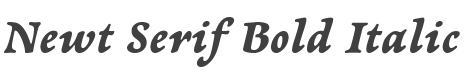 Newt Serif Bold Italic style