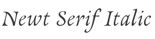 Newt Serif Italic style
