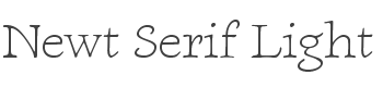 Newt Serif Light style