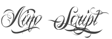 Nino Script Font preview