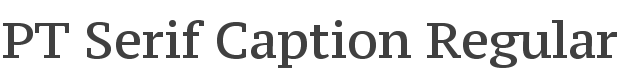 PT Serif Caption Font preview