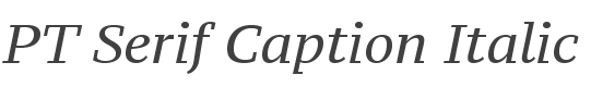PT Serif Caption Italic style