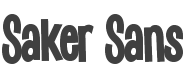 Saker Sans Black style