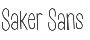 Saker Sans Light style