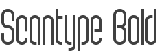 Scantype Bold style