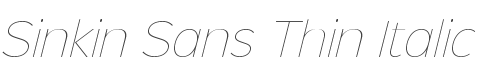 Sinkin Sans Thin Italic style