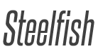 Steelfish Italic style