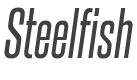 Steelfish Italic style