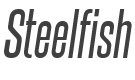 Steelfish Italic style