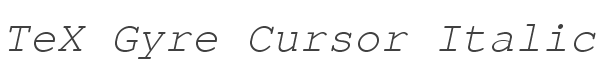 TeX Gyre Cursor Italic style
