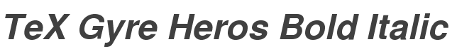 TeX Gyre Heros Bold Italic style