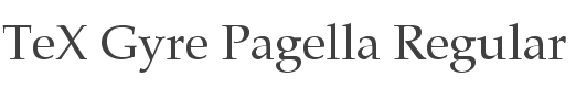 TeX Gyre Pagella Font preview