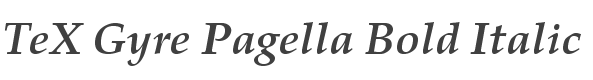 TeX Gyre Pagella Bold Italic style