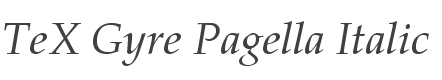 TeX Gyre Pagella Italic style