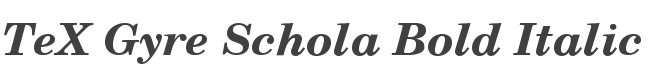 TeX Gyre Schola Bold Italic style