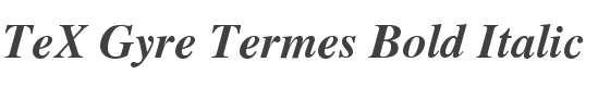 TeX Gyre Termes Bold Italic style