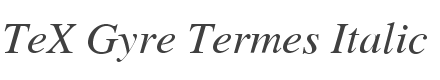TeX Gyre Termes Italic style
