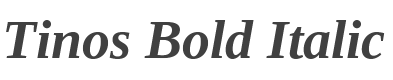 Tinos Bold Italic style