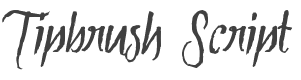 Tipbrush Script