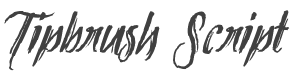 Tipbrush Script 2 Slanted style