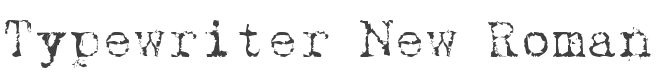 Typewriter New Roman Font preview